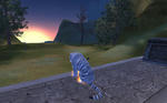 40edf9d9.jpg