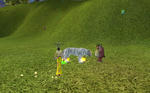 7c7794c6.jpg