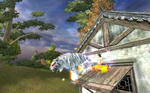 c913656a.jpg