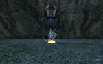 spider.jpg