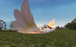 524ff9b1.jpg