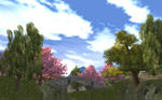 sakura.jpg