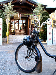 solex01.jpg
