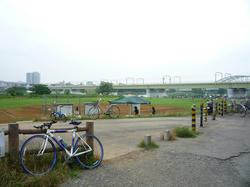 cha29.jpg
