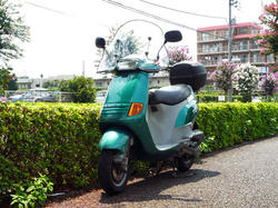 suki118.jpg
