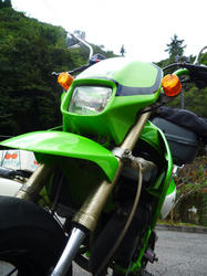 suki127.jpg