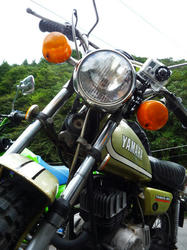 suki128.jpg