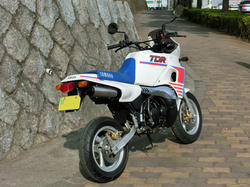 tdr002.jpg