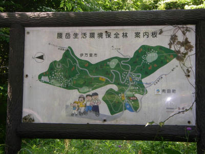 IMGP3935.JPG