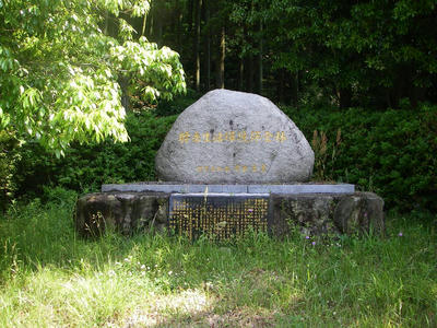 IMGP3934.JPG