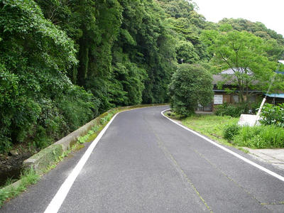 IMGP3951.JPG