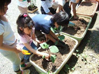 DSCF20871.JPG