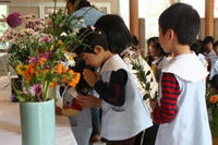 IMG_43891.JPG