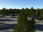 1736e0f6.jpg