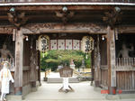 resize0174.jpg