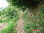 resize0191.jpg