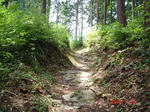 resize0255.jpg