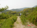 resize0197.jpg