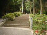resize0223.jpg
