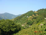 resize0266.jpg