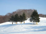 resize0328.jpg