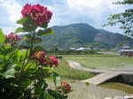 resize0032.jpg