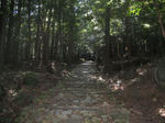resize0039.jpg