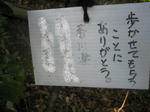 resize0037.jpg