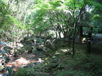 resize0057.jpg