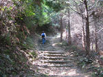 resize0058.jpg