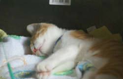 0616123e.png
