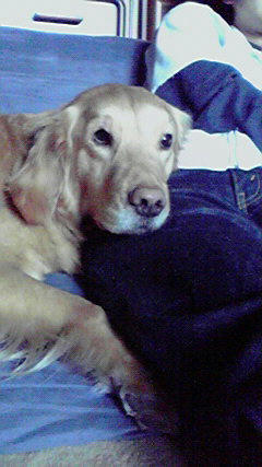 2008042716140000.jpg