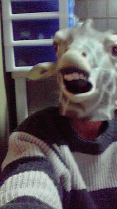 2009010323550000.jpg
