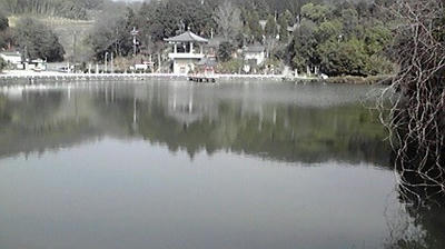 2009031910220000.jpg