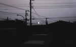 img008diceons.jpg