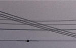 img008diceon_trims.jpg