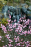 DSC_6728s.jpg