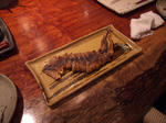 CRW_1140.jpg