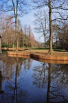 DSC_7450s.jpg