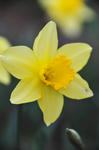 DSC_7502s.jpg