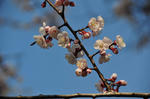 DSC_7551s.jpg