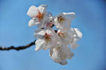 DSC_7574s.jpg