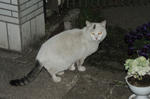 DSC_7709s.jpg