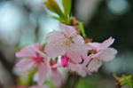 DSC_7892s.jpg