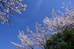 DSCF1404s.jpg