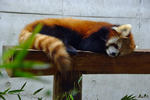 DSCF1479s.jpg