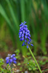 DSC_8062s.jpg