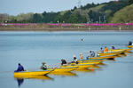 DSC_8076s.jpg
