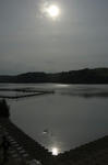 DSC_8122s.jpg