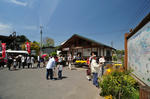 DSC_8608s.jpg